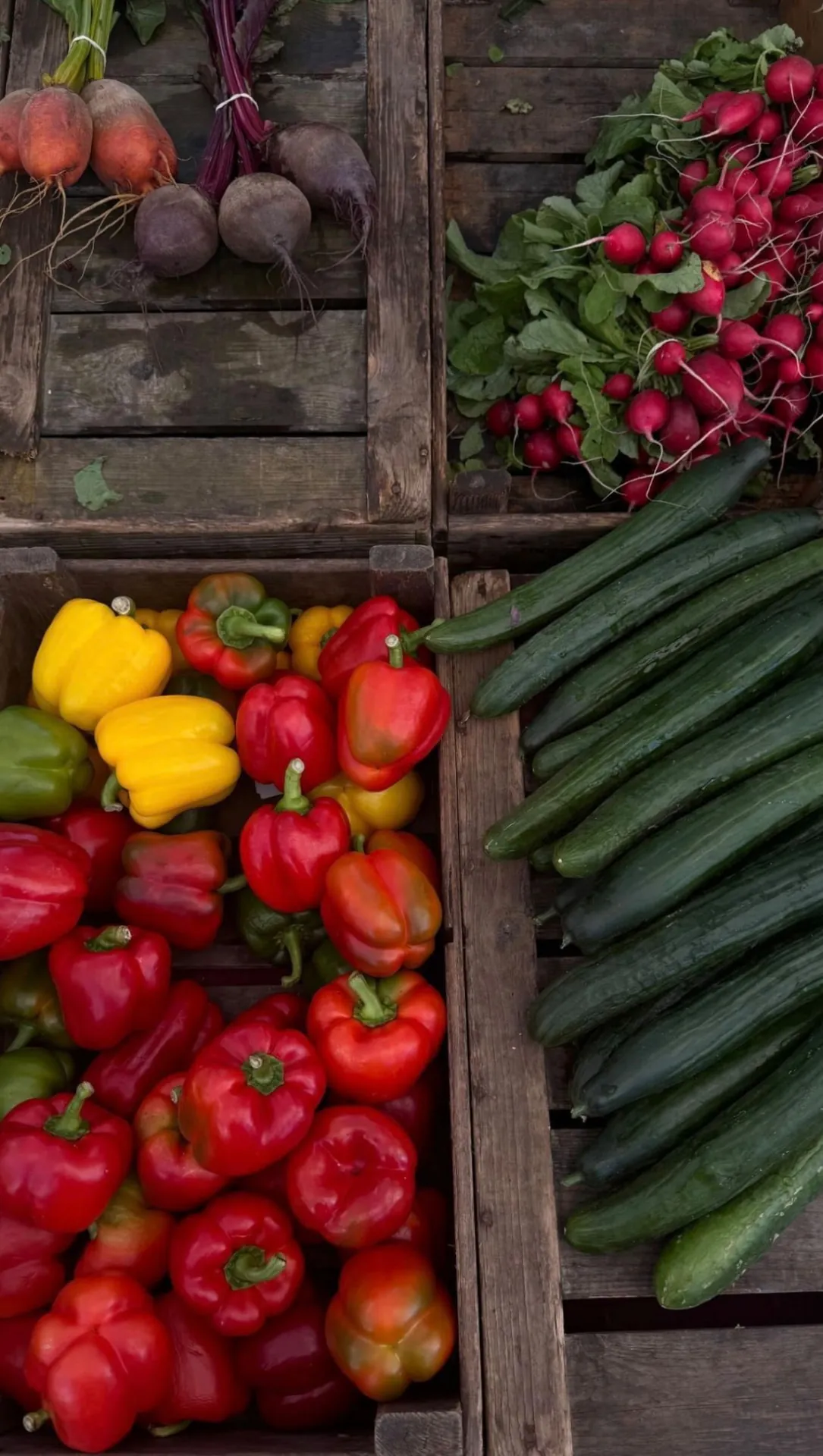 Crates of organic peppers, cucumbers, and radishes at a farmers market