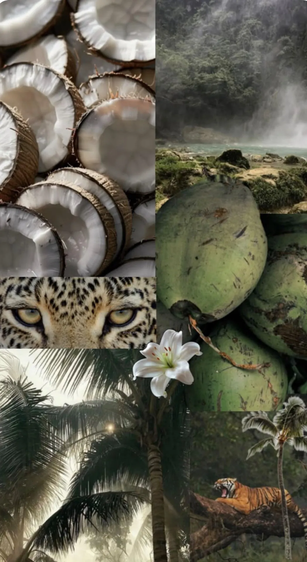 Warm tropical textures and sunlight